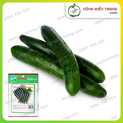 hạt giống dưa leo nhật