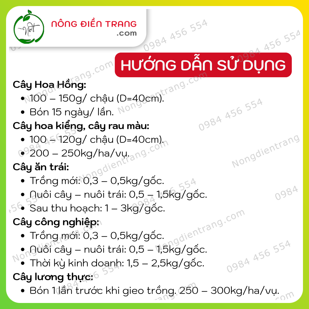 MINRO Hoa Hồng (5)