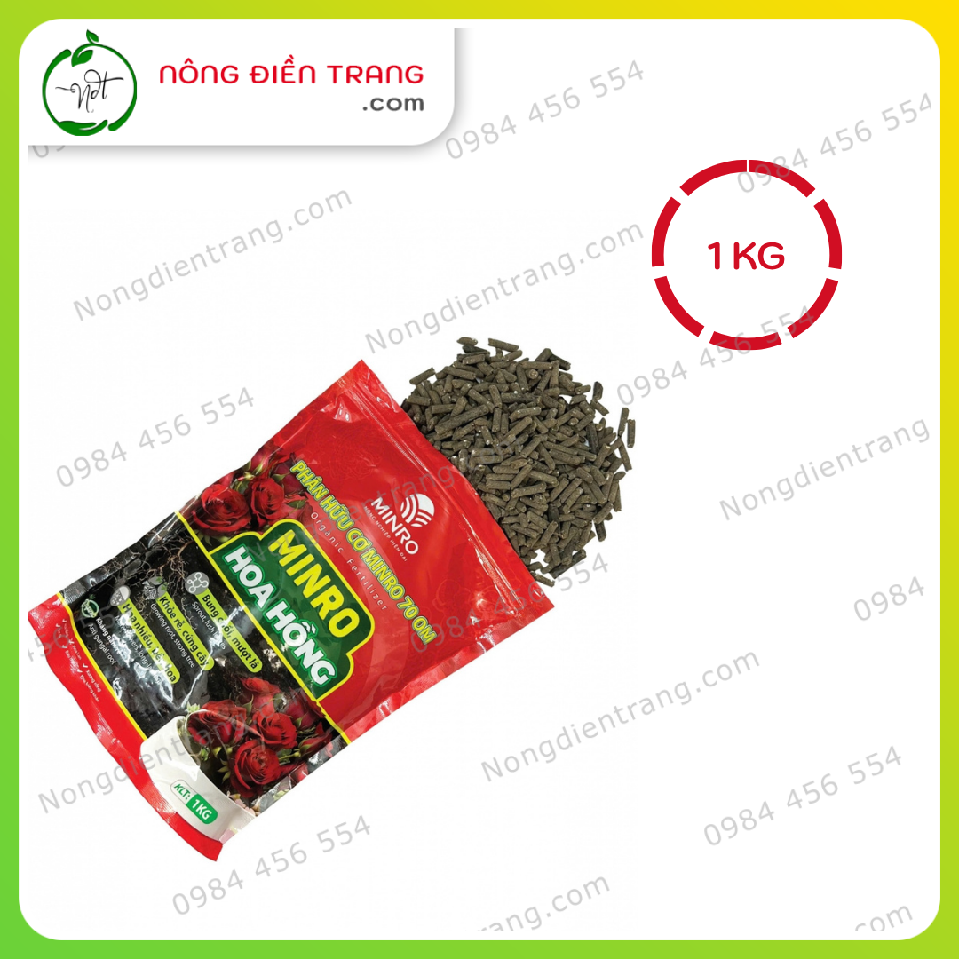 MINRO Hoa Hồng (6)