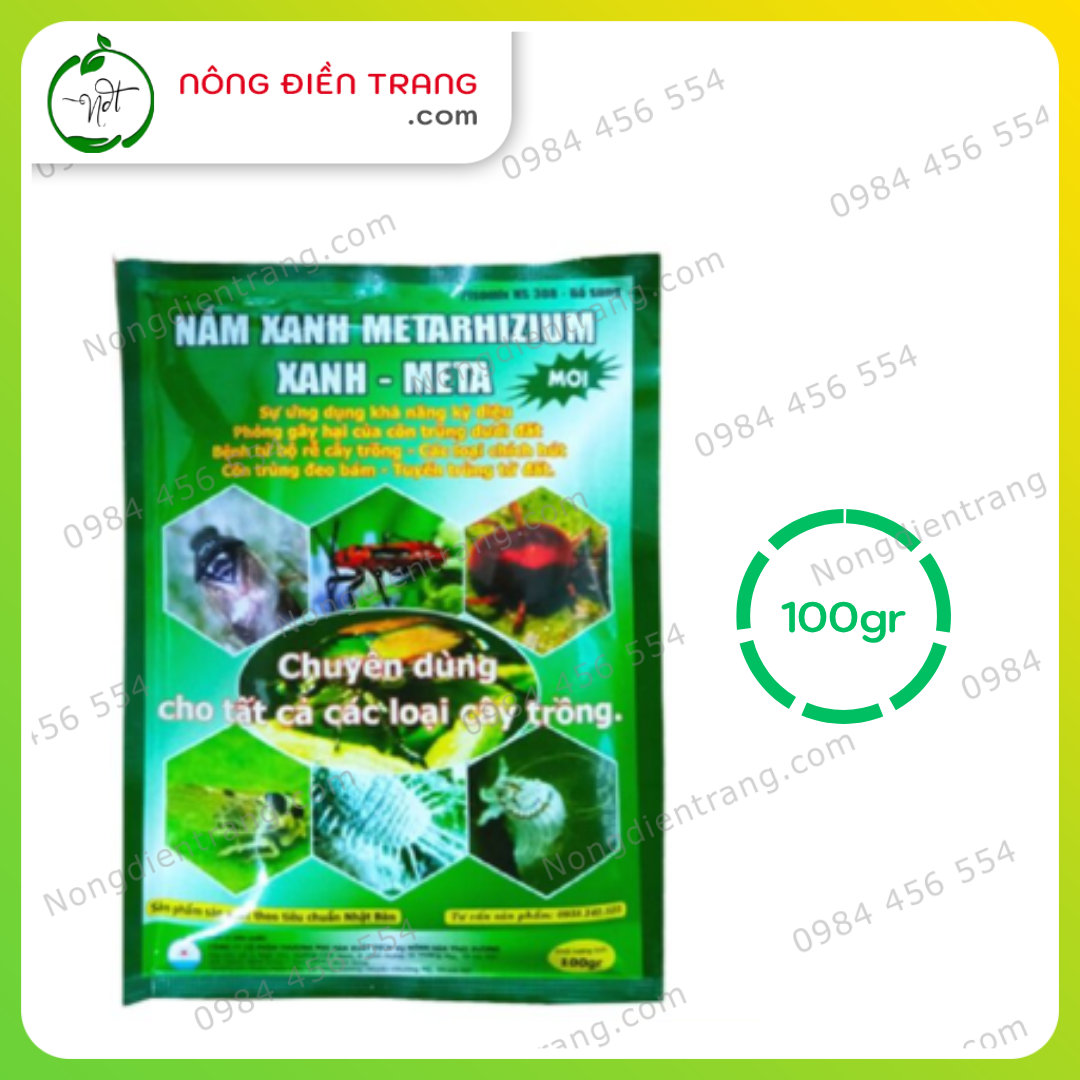 nam (4)