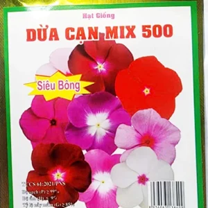 Hạt Giống Hoa Dừa Cạn Siêu Bông Mix 500 Phú Nông 10 Hạt – Nhiều Màu – Hoa To 4-6cm – Trồng Chậu