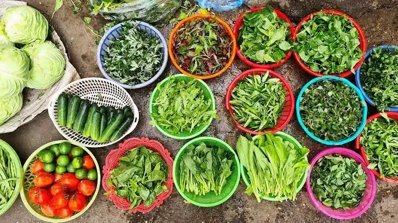 Cách trồng rau tại nhà cho người mới bắt đầu: 7 bước để có một vườn rau xanh tốt
